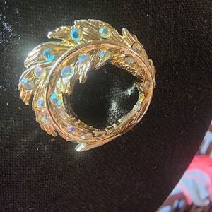 Aurora Borealis Circle Feather Brooch